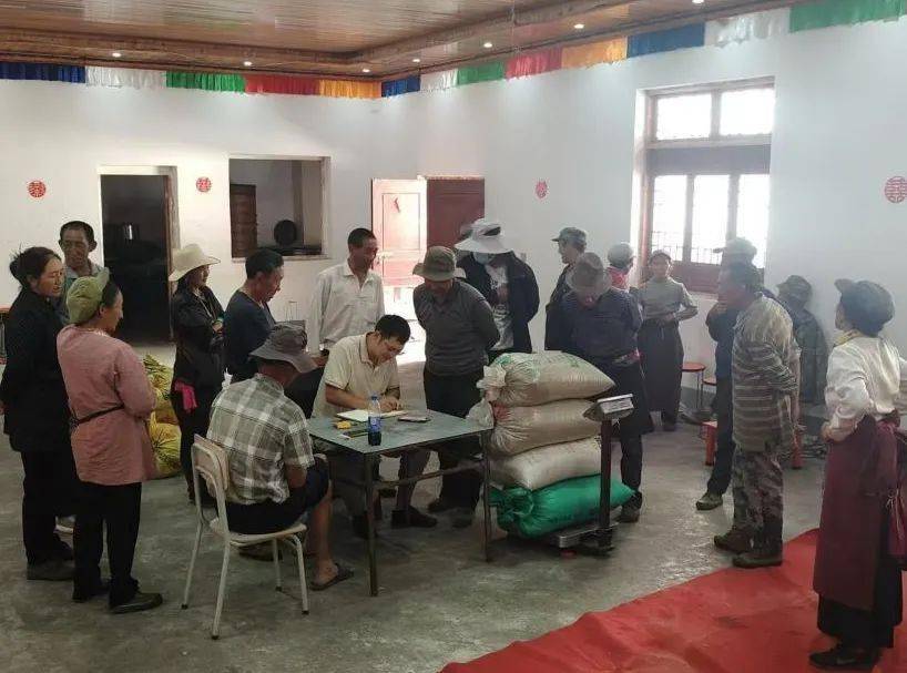 瓦玉村委会乡村振兴与社区发展新篇章揭晓，最新动态报道