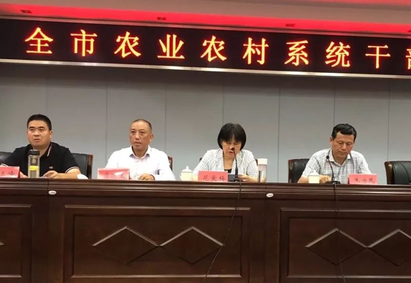 吉州区农业农村局人事任命揭晓，塑造农村发展新篇章