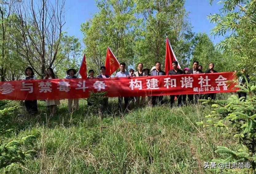定西市林业局人事任命，推动林业高质量发展新篇章开启