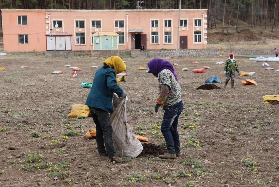 乌马河区公路运输管理事业单位招聘启事概览