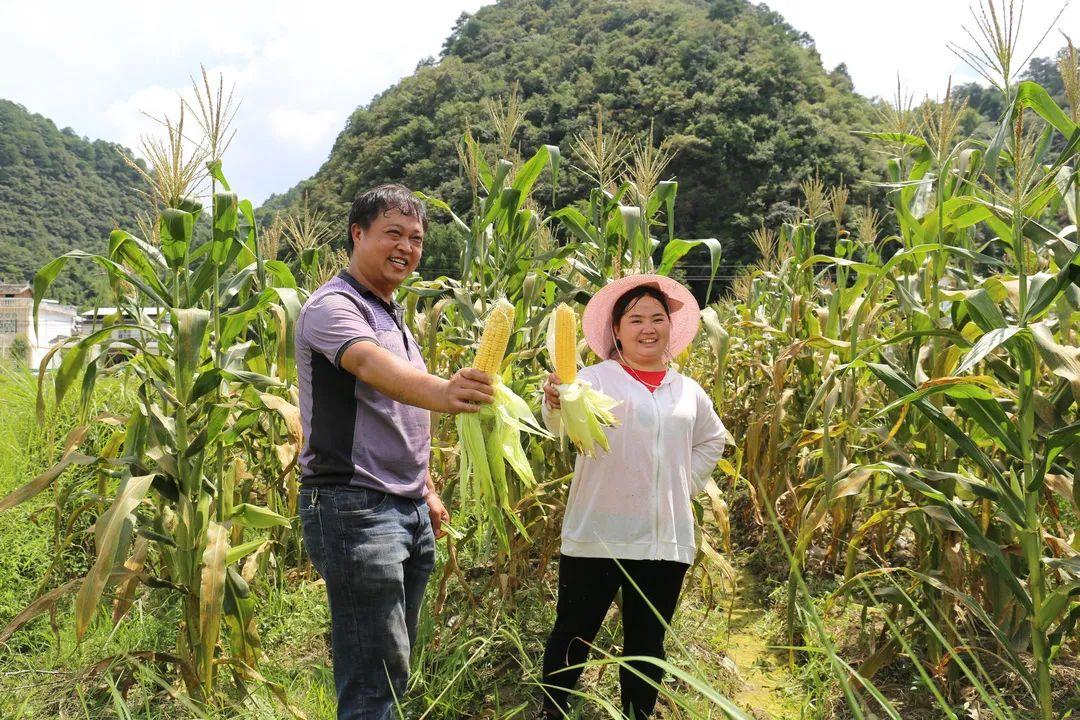 荔波县市场监督管理局最新战略规划展望