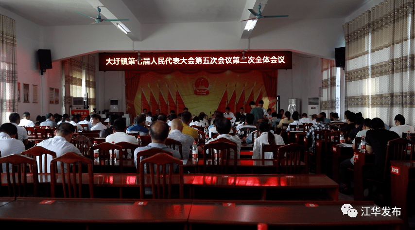 大圩乡乡村振兴与社区发展新篇章揭晓，最新新闻报道