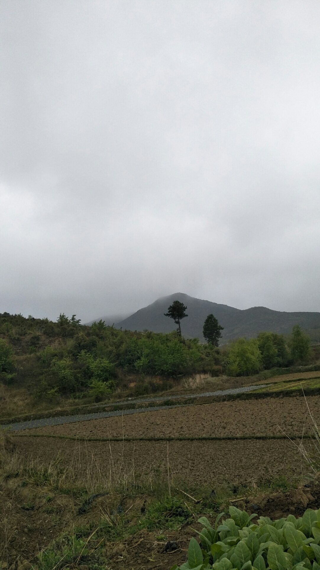 百步寺村委会天气预报更新通知