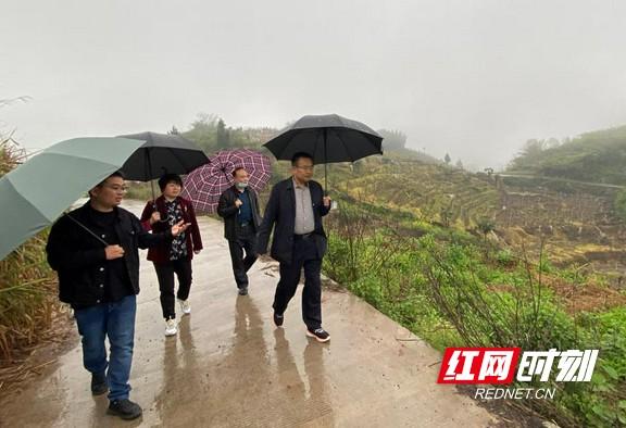 狮子山区退役军人事务局新项目，重塑荣耀，共创和谐社区新篇章