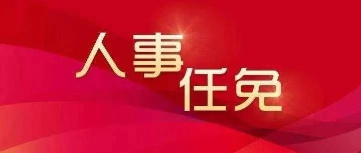 鹰潭市外事办公室人事调整，构建高效团队推动外事工作新发展