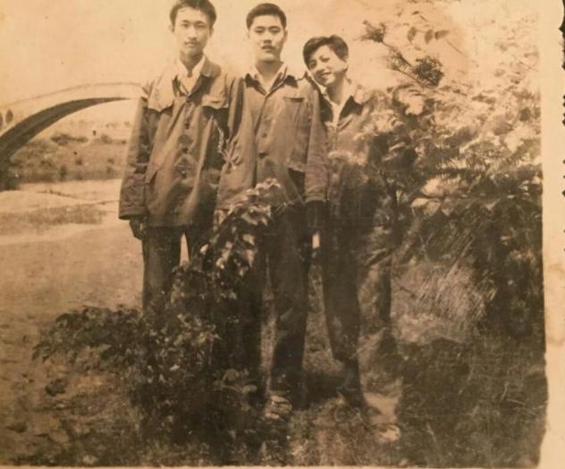 终彤蕊