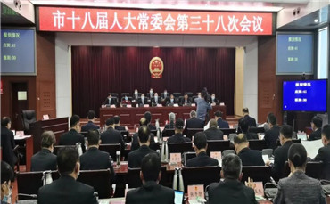 白碱滩区审计局人事任命新动态及其影响分析