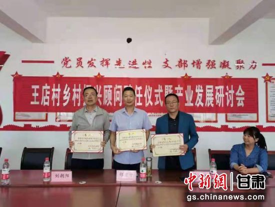 王店村最新新闻报道概览