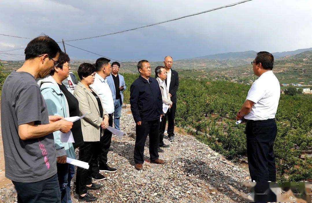 承德县卫生健康局最新发展规划概览