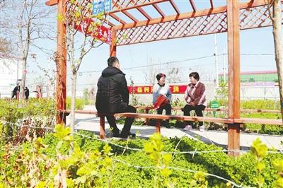 赵村村委会最新动态报道