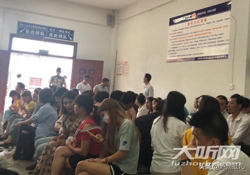 纳溪区数据和政务服务局最新招聘启事及概述