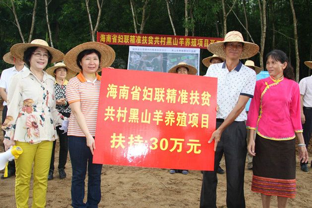 加茂镇领导团队引领未来，铸就辉煌新篇章
